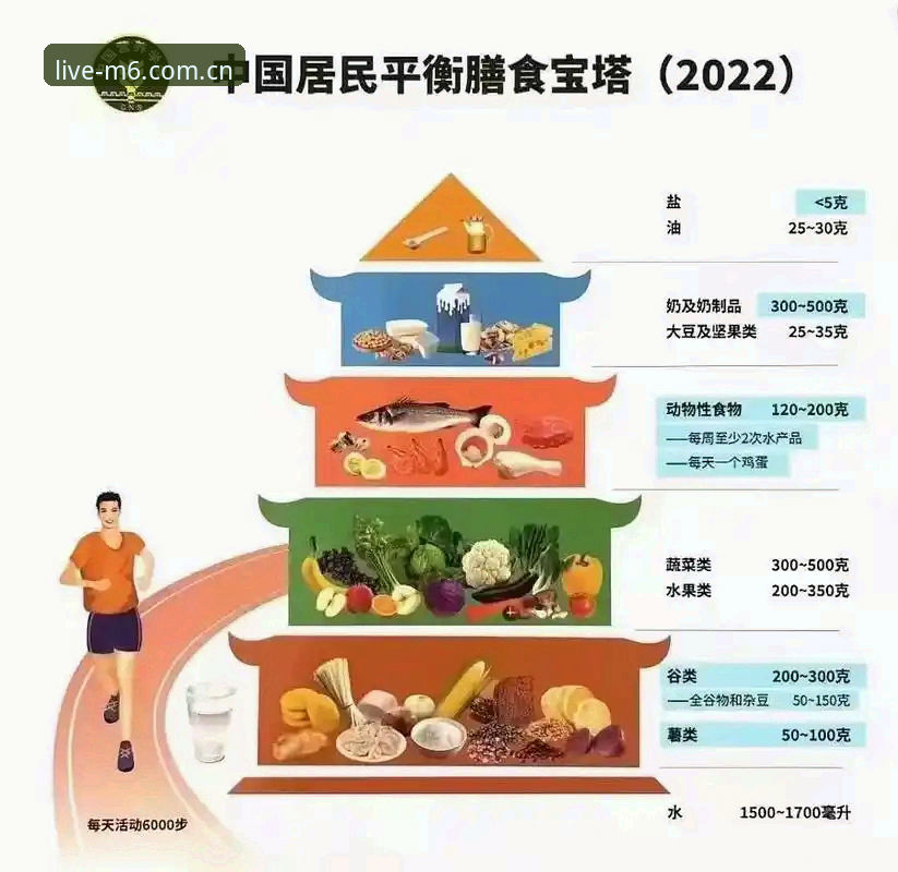 M6体育怎么下载手机版 M6体育平台手机版下载指南:2025最新版本安装流程与功能实测